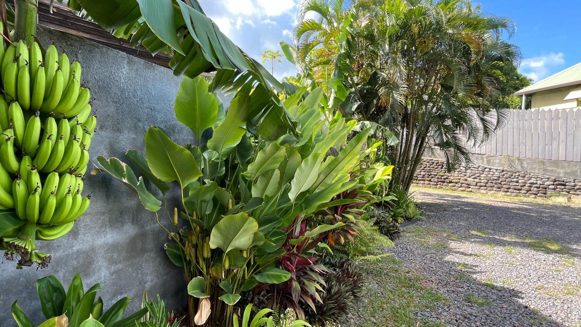 Ononui Lodge Airport, Ocean-View, Private Bathroom And Balcony, Free Wifi And Parking, On-Site Car Rental Faaa ภายนอก รูปภาพ